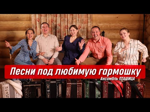 Видео: Гармонь в прямом эфире (29) – Возвращение ансамбля ПТАШИЦА | Песни под любимую гармошку