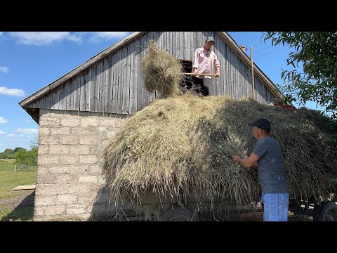 Видео: Сіно 2024! ДТЗ 5404 в роботі! Рівненщина