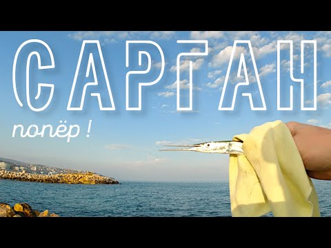 Видео: Когда ловить саргана. Сарган на что ловить. Сарган на пилькер. Пилькер на саргана.