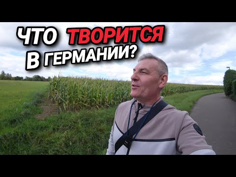 Видео: ЧТО ТВОРИТСЯ В ГЕРМАНИИ? КУРС НЕ МЕНЯЕТСЯ.  КУДА ПРОДАТЬ МЯСО? БПЛ В ПОЛЬШЕ.