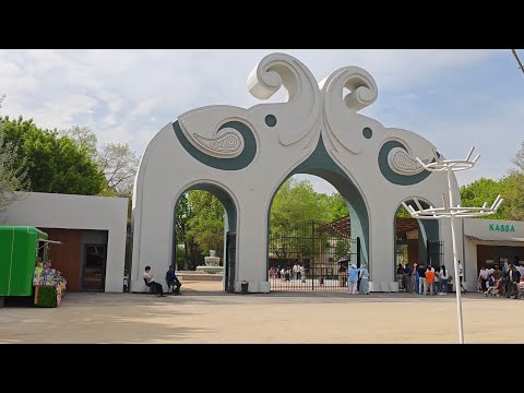 Видео: Ташкентский Зоопарк