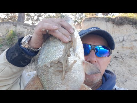 Видео: Рыбалка на припяти. Наровля. Часть вторая.))