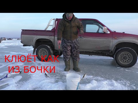 Видео: НАВАГА ПОШЛА / КАК ИЗ БОЧКИ / МОРСКАЯ РЫБАЛКА/23/02/22