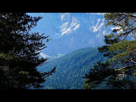 Видео: Анекдоты