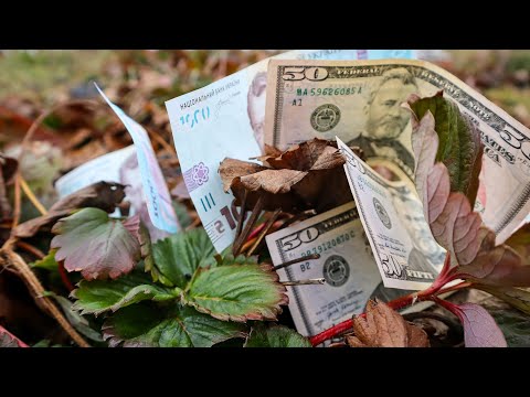 Видео: 10 РОКІВ Вирощую полуницю на Продаж і Що я зрозумів?
