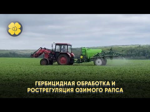Видео: Агросопровожд. в Респ. Чувашия, КФХ Кислых А.Л. Гербицидная обработка и рострегуляция озимого рапса