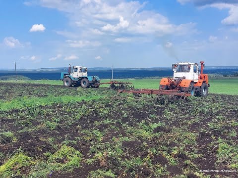 Видео: Тракторы Т-150К с новыми дизелями в деле! T-150K tractors with new diesels in business