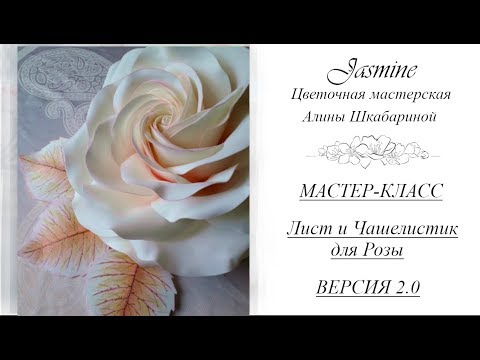 Видео: БЕСПЛАТНЫЙ МК - Лист и чашелистик для Розы
