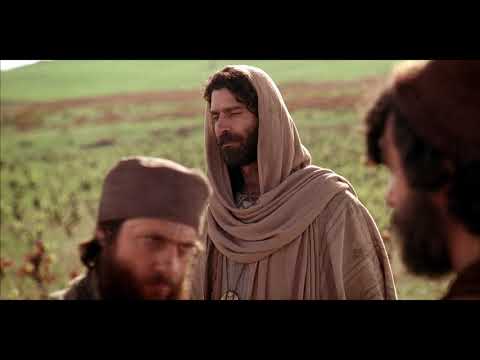 Видео: Работники в винограднике