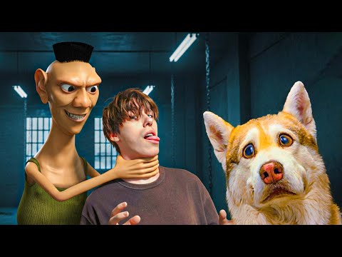 Видео: ХАМУД ХАБИБИ ВЗЯЛ В ЗАЛОЖНИКИ МЛАДШЕГО ЧЕЛОВЕКА!! Хаски Бублик Говорящая собака