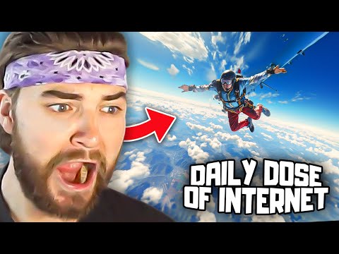 Видео: KingWoolz реагирует на ЕЖЕДНЕВНУЮ ДОЗУ ИНТЕРНЕТА и дикие открытия!!