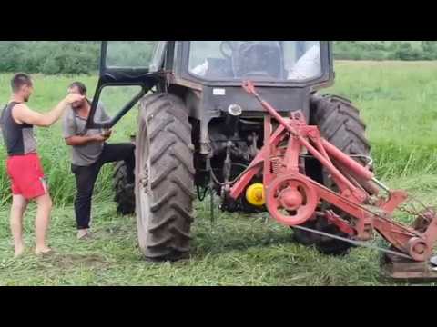 Видео: Косим просо