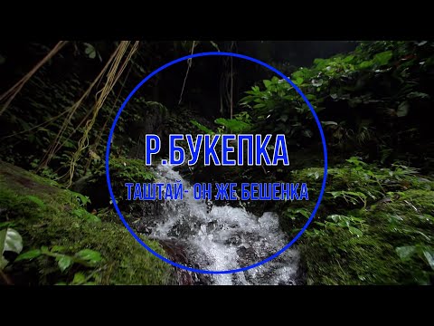 Видео: Река Букепка,Каньон реки Таштай или Бешенка. Село Индюк,Туапсинский район.