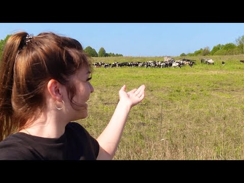 Видео: В ДЕРЕВНЕ! Завтрак, деревенский рынок, баня