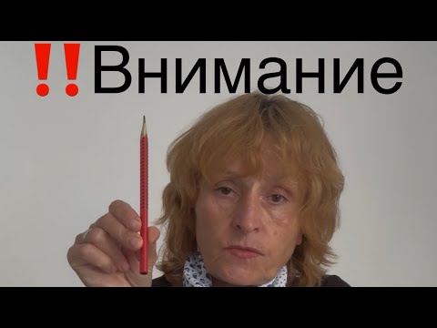 Видео: 13 ноября 2025 г.