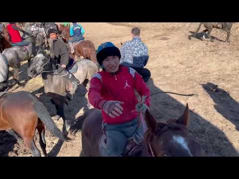 Видео: Сарсенбі көкпар 2 болім Аман агамыздың салымды болған аттар шабандоздар