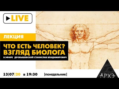 Видео: Онлайн-лекция С.В. Дробышевского "Что есть человек? Взгляд биолога"