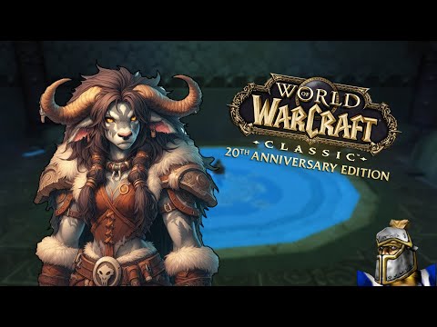 Видео: Это Победа! | WoW Hardcore (Soulseeker)