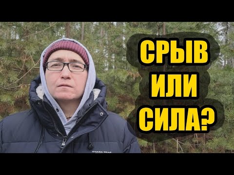 Видео: Голодный вампир внутри тебя. Почему мужчина срывается и как стать сытым львом