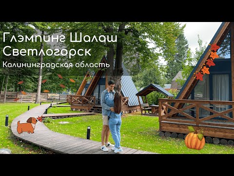 Видео: Глэмпинг Шалаш в Светлогорске. Калининградская область. Осень в Калининграде