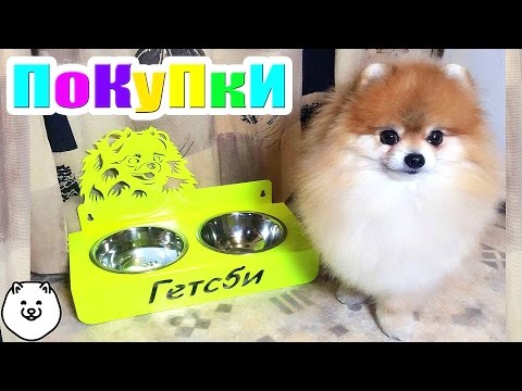 Видео: ПОКУПКИ ДЛЯ СОБАКИ ✔️ Миска ✔️ Расческа ✔️ Корм ✔️Обувь