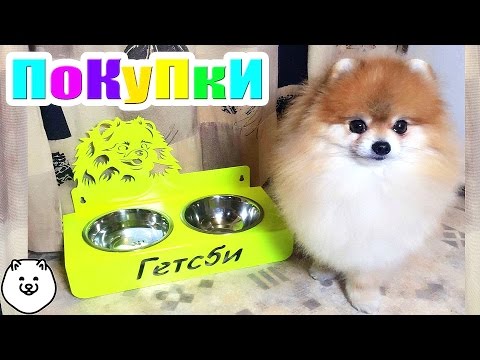 Видео: ПОКУПКИ ДЛЯ СОБАКИ ✔️ Миска ✔️ Расческа ✔️ Корм ✔️Обувь