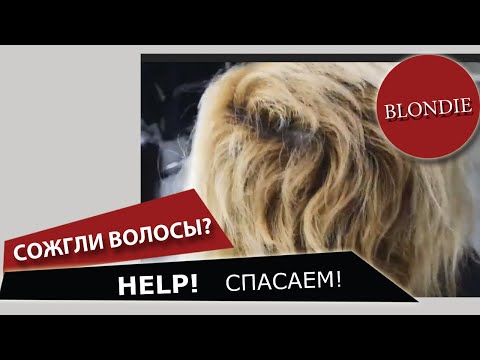 Видео: Сожгли волосы! Ужас или частая история?