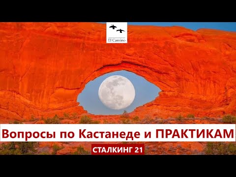 Видео: Вопросы по Кастанеде и ПРАКТИКАМ