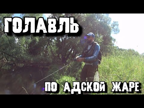 Видео: Ловля голавля| Кастинговая снасть| Рыбалка на микроречке