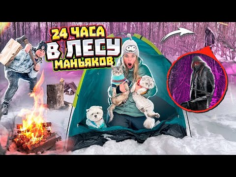 Видео: 24 ЧАСА В ЛЕСУ МАНЬЯКОВ С КОТАМИ И СОБАКОЙ | НАШЛИ УЛИКИ!