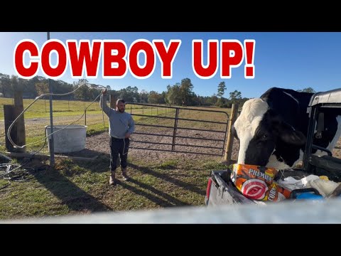 Видео: МУ ИЗДЕВАЕТСЯ НА КОВБОЯ! Рай спешит на помощь!