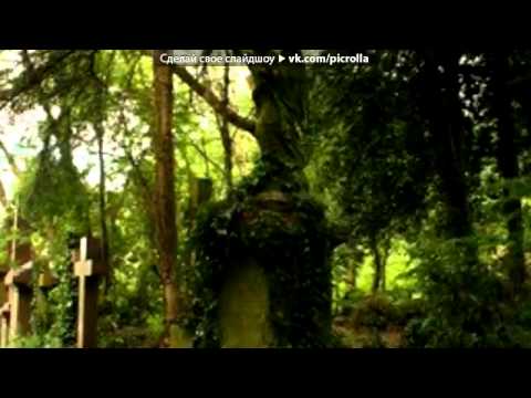 Видео: Митя Кузнецов - голуби