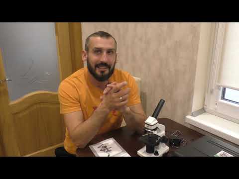 Видео: Еще один микроскоп для искусственного осеменения пчелиных маток 26.11.2019