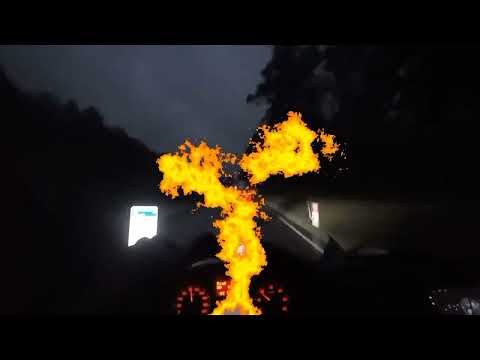 Видео: 4 ноября 2025 г.