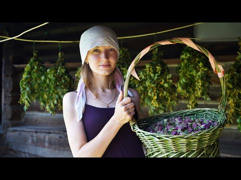 Видео: ЛЕТО – ПРИПАСИХА, ЗИМА – ПОБЕРИХА! Сходили ко ПЧЕЛАМ