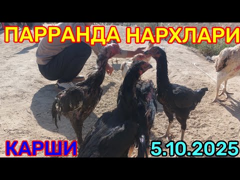 Видео: 5.10.2025 ПАРРАНДА НАРХЛАРИ КАРШИ КАРВОН МОЛ БОЗОРИДА 