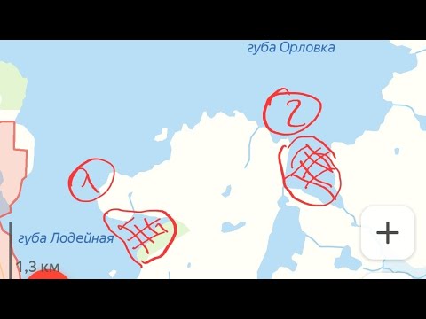 Видео: Териберка:тюлени, гребешки и ежики !