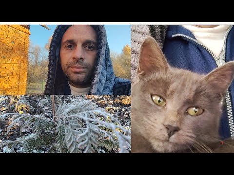 Видео: Страшная ночь.Нужен совет 