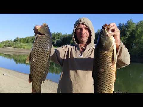 Видео: Река Каратал 2025. Здесь тонны Рыбы !!!. Трофейная Рыбалка. Сазан, Сом, Осётр.