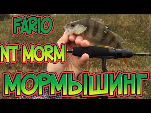 Видео: Мормышинг. Успеть за полтора часа. Fario NT Morm S