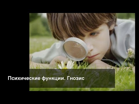 Видео: Психические функции. Гнозис