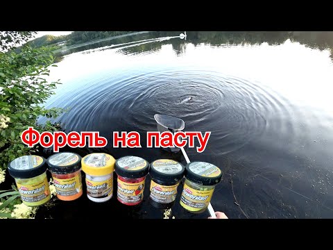 Видео: Форель на пасту. Как ловить форель на пасту. Донная снасть на форель.