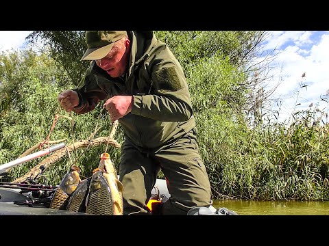 Видео: УЕХАЛ В ГЛУШЬ И ПОПАЛ...!!! ЗДЕСЬ МОРЕ РЫБЫ!!! НЕ РЫБАЛКА, А ЖОР!