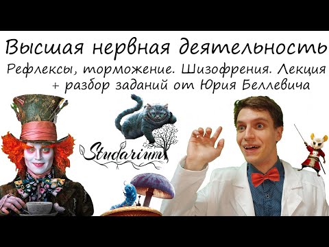 Видео: Высшая нервная деятельность. Рефлексы. Шизофрения. Лекция и разбор заданий от Юрия Беллевича