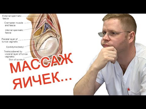 Видео: Массаж яичек / Доктор Черепанов