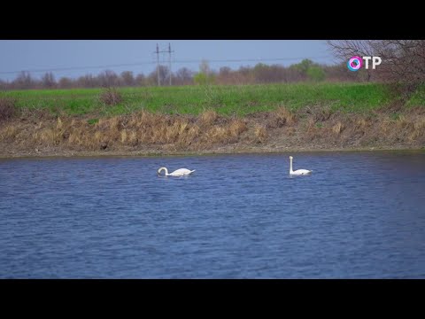 Видео: Нетронутая планета. О том, где можно прикоснуться к первозданной природе