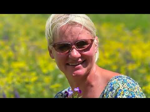 Видео: Астана - "Катон Карагай" июль 2022г. оз.Язево, Рахмановские  ключи, Старо-Австрийская дорога.