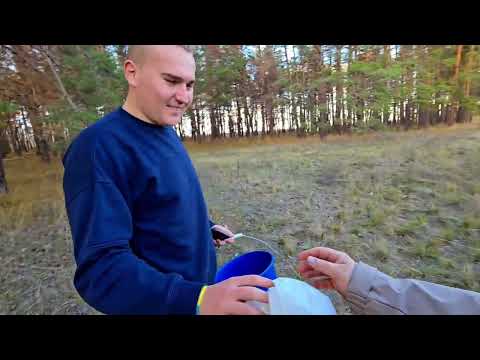 Видео: 3 ноября 2025 г. К сестре за грибами😍, что нашли?