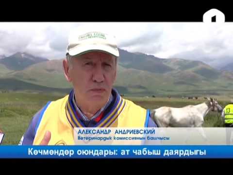 Видео: Көчмөндөр оюну: Суусамыр өрөөнүндө “Ат чабыш” боюнча тандоо туру өткөрүлүүдө