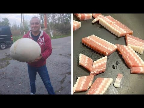 Видео: Кадры, что перевернут твоё представление о мире